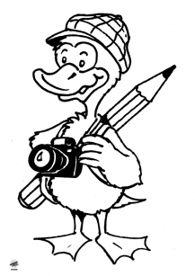 Coin-coin photographe Coin-coin photographe