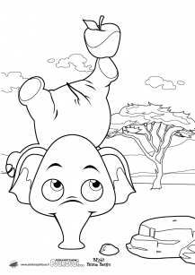 Eléphant qui fait le poirier