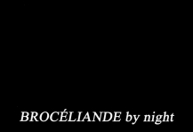 Brocéliande by night