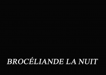 Brocéliande la nuit